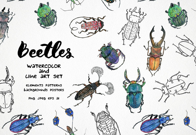 6000+ Watercolor And Line Art Bundle - Artixty