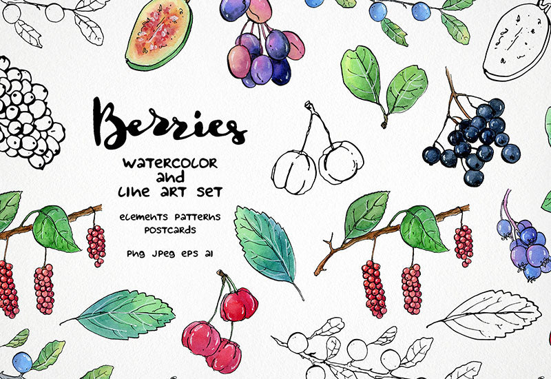 6000+ Watercolor And Line Art Bundle - Artixty