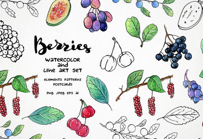 6000+ Watercolor And Line Art Bundle - Artixty