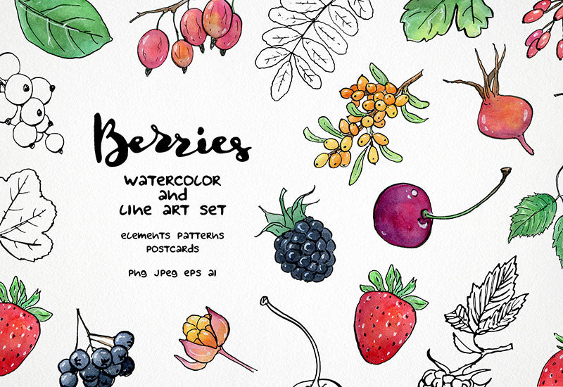 6000+ Watercolor And Line Art Bundle - Artixty
