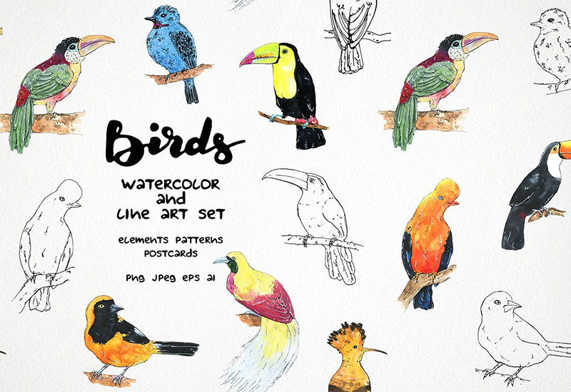 6000+ Watercolor And Line Art Bundle - Artixty
