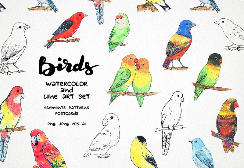 6000+ Watercolor And Line Art Bundle - Artixty