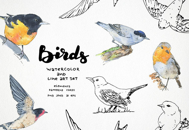 6000+ Watercolor And Line Art Bundle - Artixty