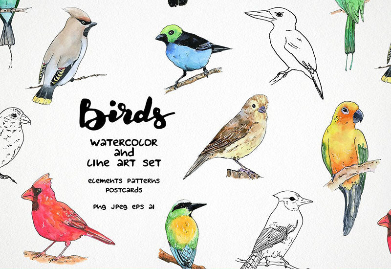 6000+ Watercolor And Line Art Bundle - Artixty