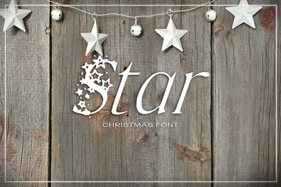 The Joyful Christmas Fonts Bundle - 25 Exclusive Fonts-Fonts-Artixty