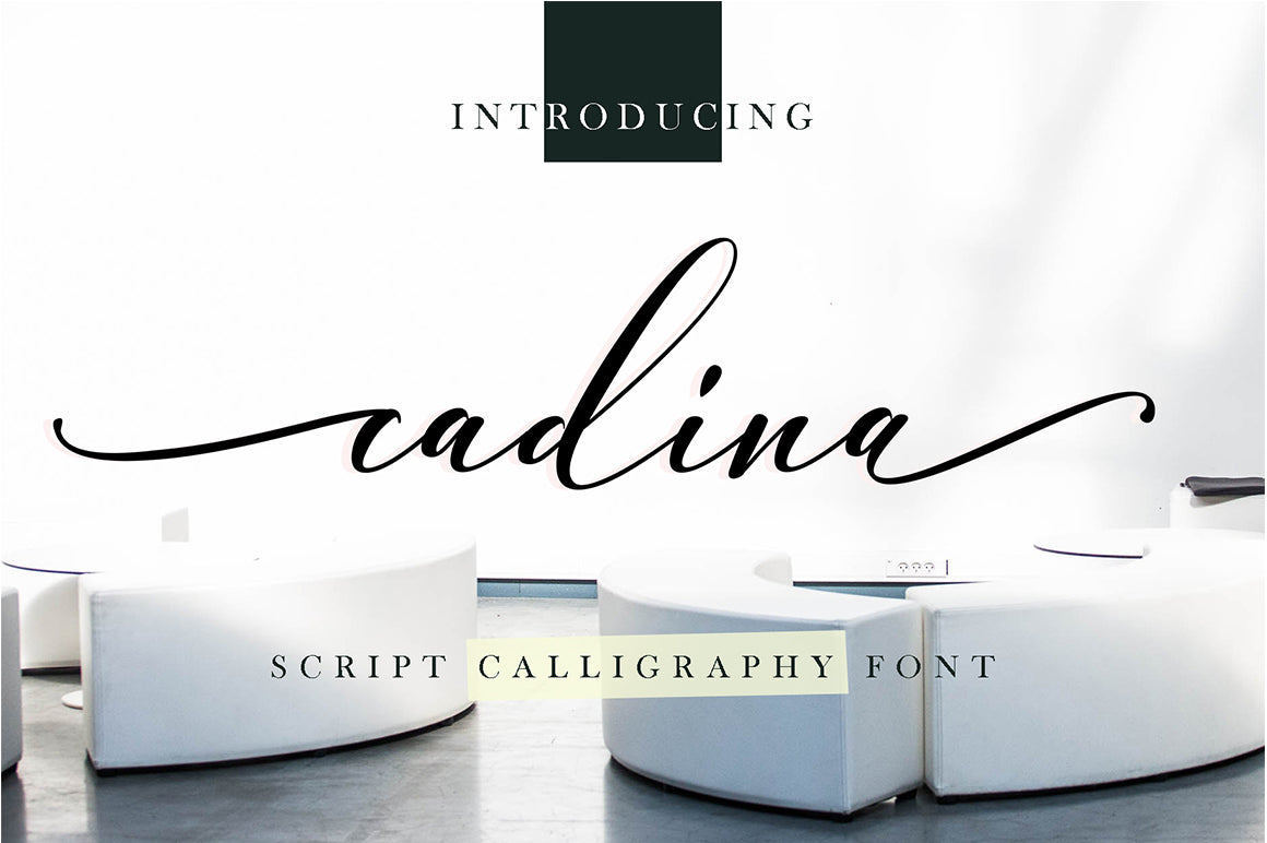 The Swashy Font Bundle - 54 Fonts - Artixty