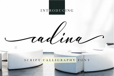 The Swashy Font Bundle - 54 Fonts - Artixty