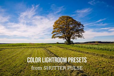 The Radiant Lightroom Preset Bundle - 330+ Presets-Add-Ons-Artixty