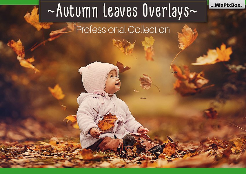 2000+ Mega Photo Overlays Bundle - Artixty