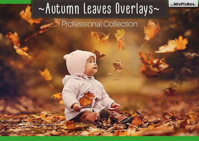 2000+ Mega Photo Overlays Bundle - Artixty