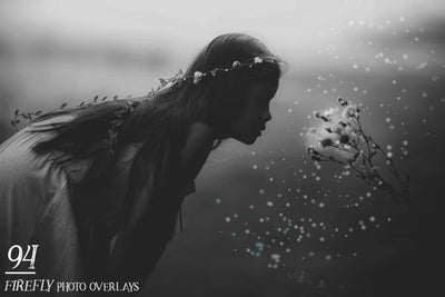 1900+ Halloween Photo Overlays Bundle - Artixty