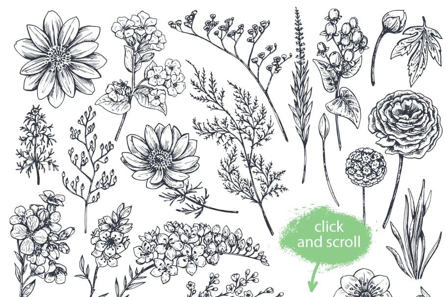 The Large Vector Flowers Bundle - 400+ Design Elements - Artixty