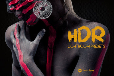 The Ultimate Lightroom Preset Bundle By Sleeklens - Artixty