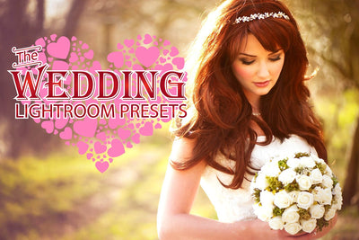 The Ultimate Lightroom Preset Bundle By Sleeklens - Artixty