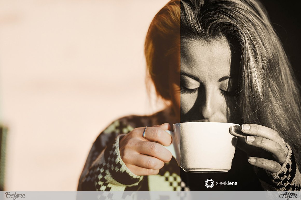 The Ultimate Lightroom Preset Bundle By Sleeklens - Artixty