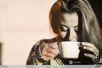 The Ultimate Lightroom Preset Bundle By Sleeklens - Artixty