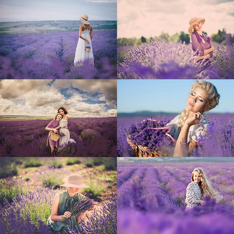 1800+ Exclusive Photo Overlays Collection - Artixty