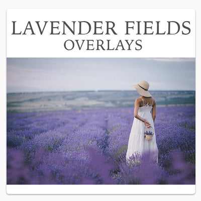 1800+ Exclusive Photo Overlays Collection - Artixty