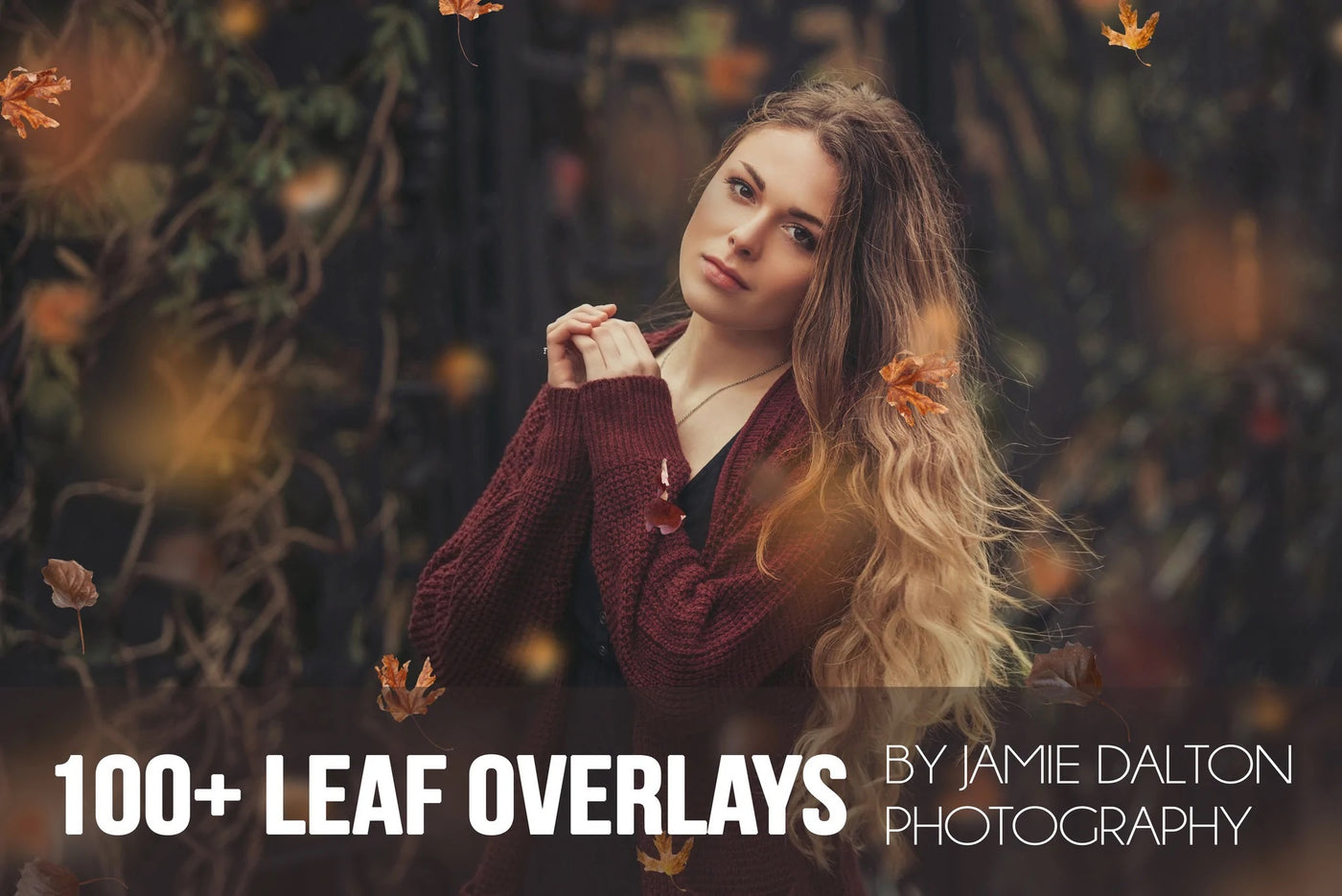 1800+ Exclusive Photo Overlays Collection - Artixty