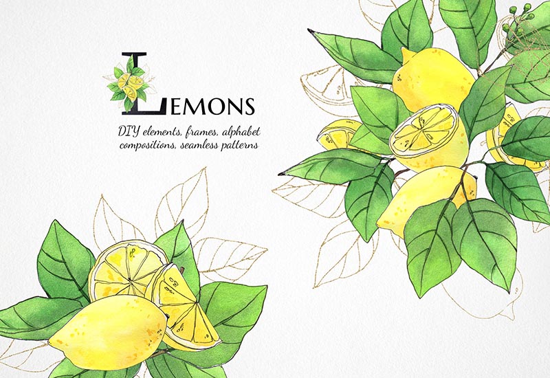 6000+ Watercolor And Line Art Bundle - Artixty