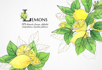 6000+ Watercolor And Line Art Bundle - Artixty