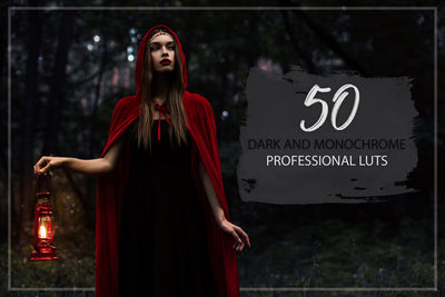 2000+ Finest Filmmaking LUTs And Presets Bundle-Add-Ons-Artixty
