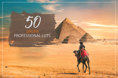 2000+ Finest Filmmaking LUTs And Presets Bundle-Add-Ons-Artixty