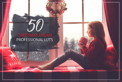 2000+ Finest Filmmaking LUTs And Presets Bundle-Add-Ons-Artixty