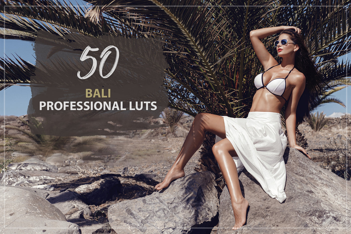2000+ Finest Filmmaking LUTs And Presets Bundle-Add-Ons-Artixty