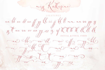 The Stylish Calligraphy Font Bundle - 12 Exclusive Fonts-Fonts-Artixty