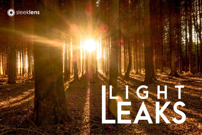 The Ultimate Lightroom Preset Bundle By Sleeklens - Artixty
