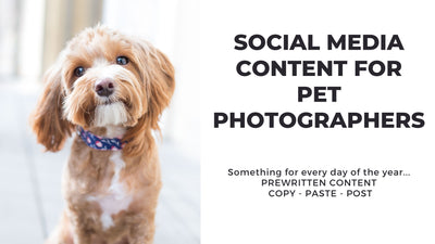 The Complete Pet Photography Collection-Learning-Artixty