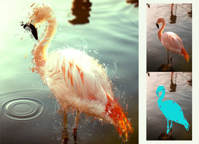 The Professional Bundle Of 15 Photoshop Actions