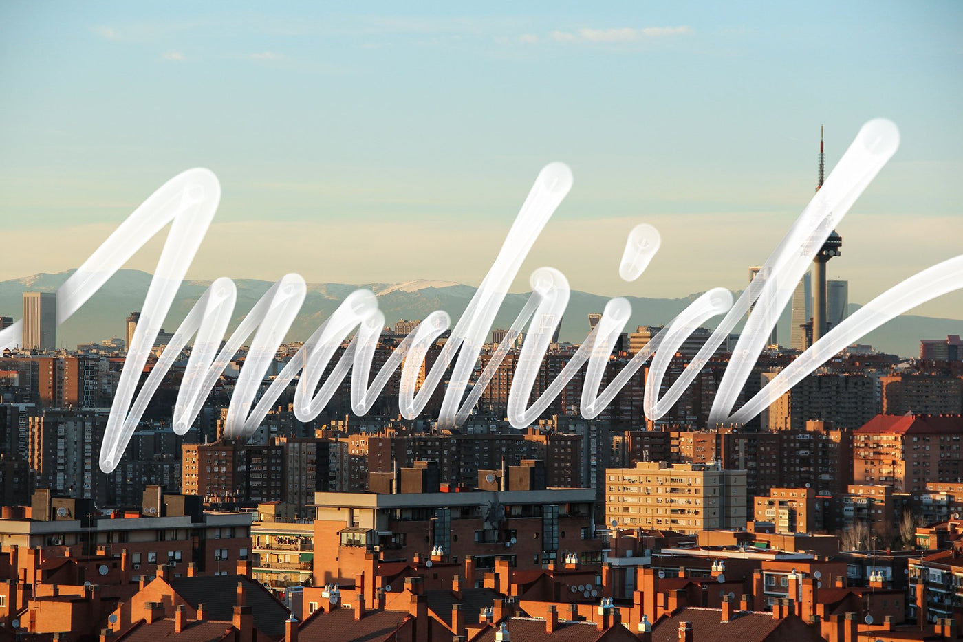 Trendy Procreate Brushes Bundle + Bonus Font - Artixty