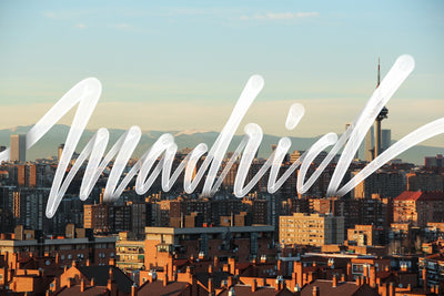 Trendy Procreate Brushes Bundle + Bonus Font - Artixty