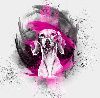 The Professional Bundle Of 15 Photoshop Actions