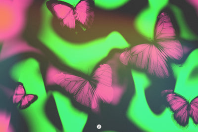 The 640 Psychedelic Graphics Bundle