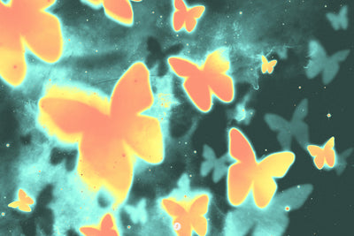 The 640 Psychedelic Graphics Bundle