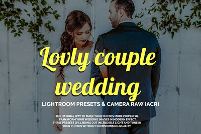 1200+ Sensational LR Presets & Camera Raw Bundle - Artixty