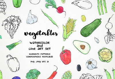 6000+ Watercolor And Line Art Bundle - Artixty