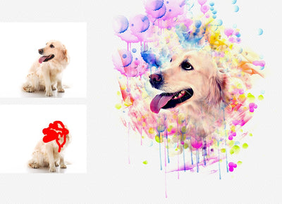 The Professional Bundle Of 15 Photoshop Actions