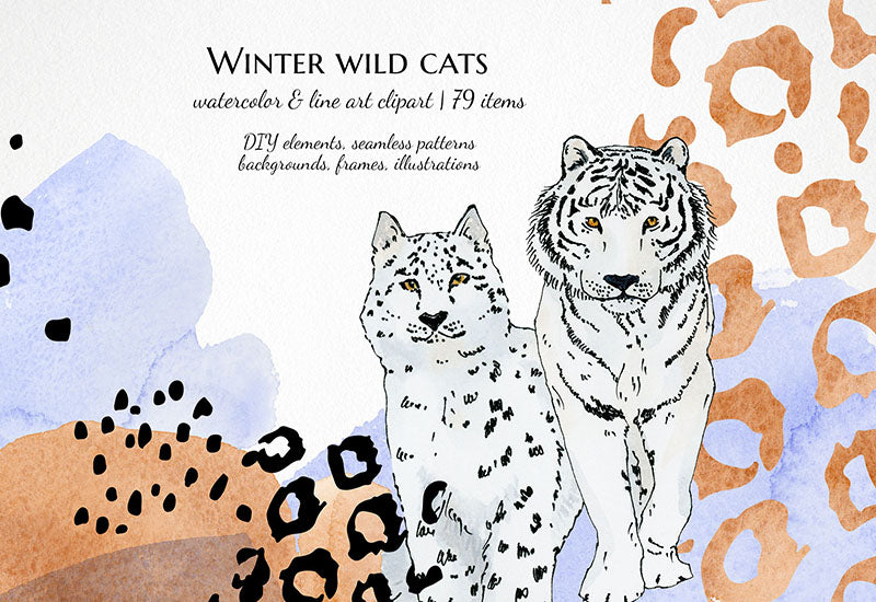 6000+ Watercolor And Line Art Bundle - Artixty