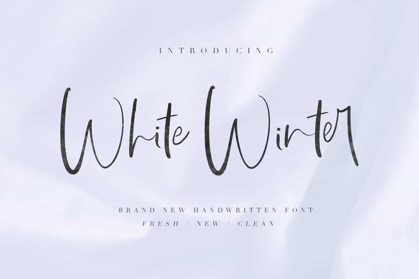 The Wonderful Font Bundle - 15 Script Fonts-Fonts-Artixty